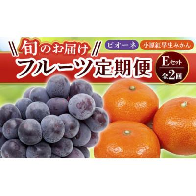 ふるさと納税 琴平町 【発送月固定定期便】香川県・三豊市共通返礼品　フルーツ旬の果物　Eセット全2回