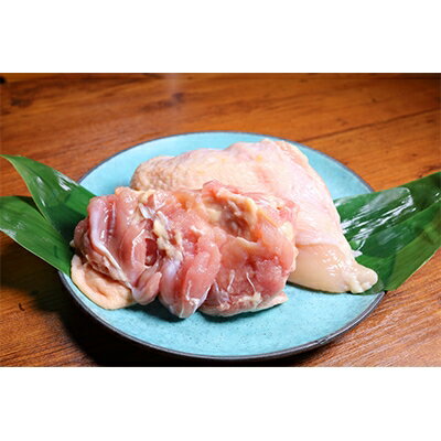 【ふるさと納税】神奈川県産地鶏　丹沢滋黒軍鶏　もも・むね肉セット　約500g【配送不可地域：離島・沖縄県】【1138247】
