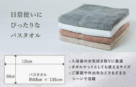 （今治タオルブランド認定）しっかりサマルカンド バスタオル2枚セット  ベージュ/ベージュ 今治タオル [ID05380BEBE]