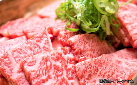 【和牛の旨味を堪能！】博多和牛 牛肉 焼肉 500g＜株式会社MEAT PLUS＞那珂川市  牛肉 肉 黒毛和牛 ブランド牛 国産  BBQ バーベキュー 焼肉 牛焼肉 牛肉 和牛 博多和牛  170