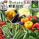 【ふるさと納税】【定期便】【選べる配送サイクル】野菜 定期便 旬の おまかせ 野菜BOX 6回 8~10品目 | ふるさと納税 野菜 定期便 定期 やさい 定番 野菜 セット 詰め合わせ 旬 新鮮 産地直送 大容量 ふるさと 佐賀県 鹿島市 人気 送料無料 E-72