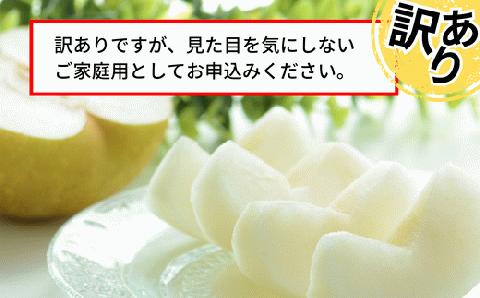 12-20  訳あり 梨 20世紀梨 5kg（10～18玉）サイズバラつき有り（L～5L）9/9が最終受付です