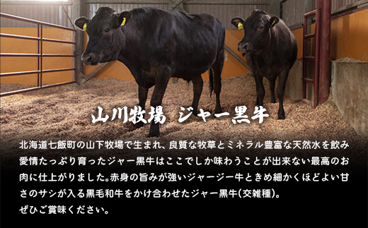 山川牧場ジャー黒焼き肉Aセット（カルビ、ロース、モモ、サーロイン各150g） NAN013