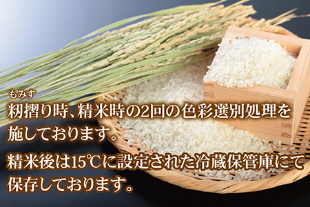 【令和7年産】 福井県越前市産にこまる　福井県特別栽培米　10kg