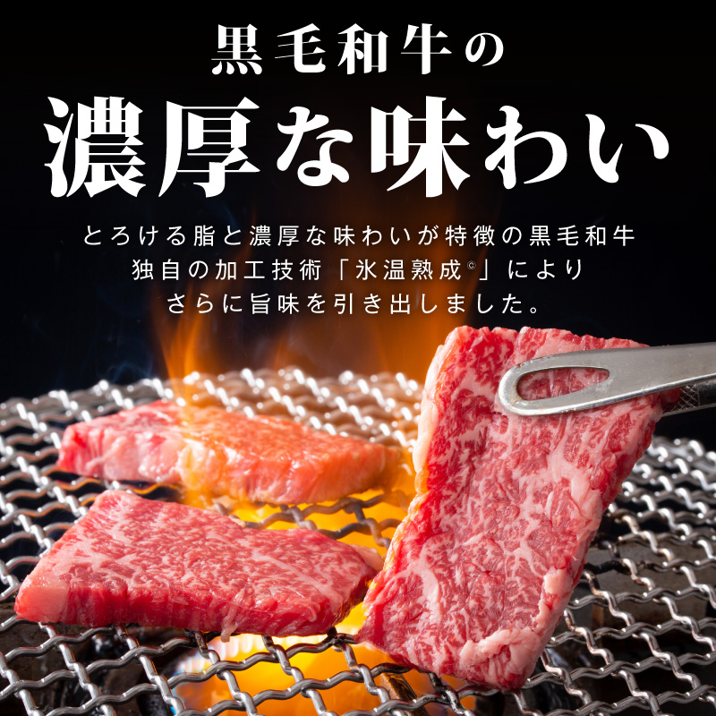 【スピード発送】黒毛和牛 部位ミックス 焼肉用 1.2kg【400g×3P 氷温熟成×特製ダレ 小分け 牛肉 黒毛和牛 簡単調理  訳あり】 mrz0509