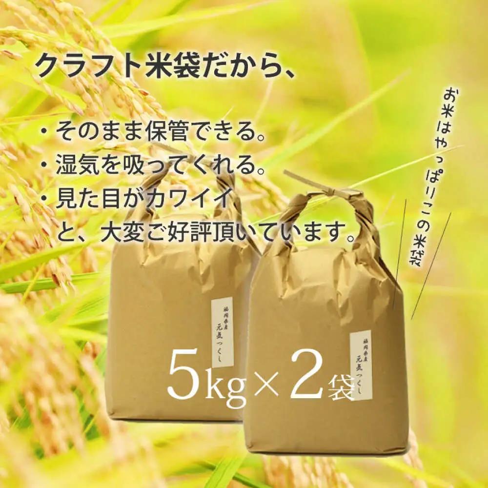 福岡県産 元気つくし 玄米 10kg (5kg×2袋)[BGAF020]元気つくし