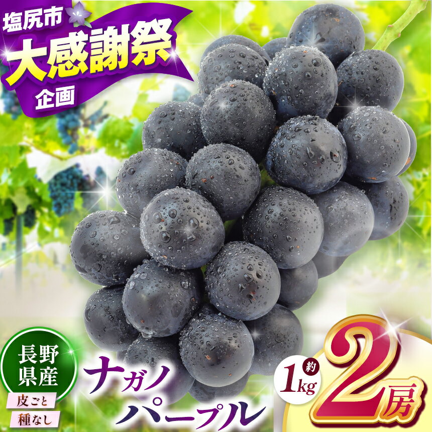 【ふるさと納税】【2026年先行予約】 ナガノパープル（2房）【9月上旬～10月下旬にかけて順次発送予定】 | 果物 くだもの フルーツ 葡萄 ぶどう ブドウ ナガノ パープル 長野県 塩尻市