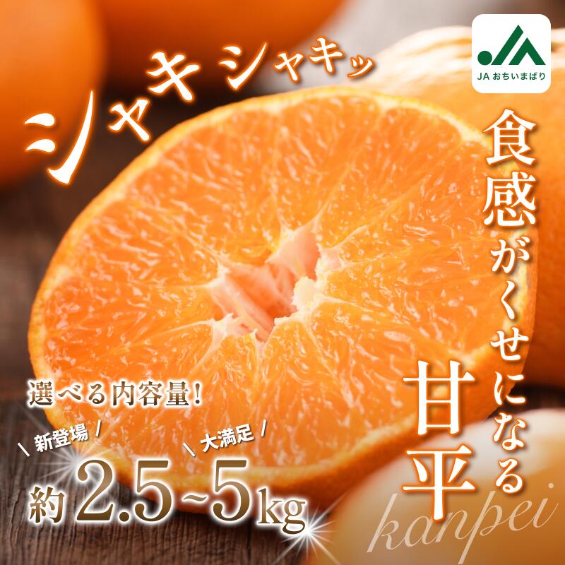 【ふるさと納税】【先行予約】＼毎年大人気！／ 甘平 （家庭用）レギュラー箱 約2.5～5kg 【KC00780】 ふるさと納税 愛媛県 今治市 先行予約 今治産 みかん 甘平みかん 大人気 フルーツ 甘い 柑橘 果物 JA 越智今治 愛媛ミカン ふるさと納税愛媛県 果物ふるさと納税