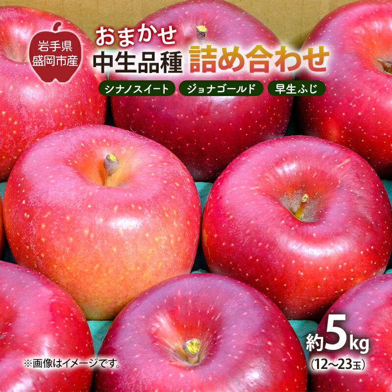 【ふるさと納税】【10月から発送】 りんご 盛岡から「農で人をつなぐ」藤与果樹園：おまかせ中生品種詰め合わせ（ シナノスイート ジョナゴールド 早生ふじ ）約5kg 12～23玉 玉数指定不可 詰め合わせ 岩手 盛岡　お届け：2025年9月25日～2025年11月15日