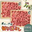 【ふるさと納税】オリーブ牛切り落とし500g×2P 讃岐牛 すき焼き しゃぶしゃぶ 焼肉 オレイン酸 冷凍