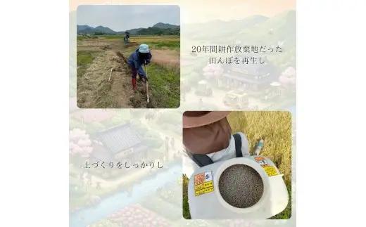 C138 ミツバチと地球の未来を守るお米【88HACHIMAI】玄米5㎏