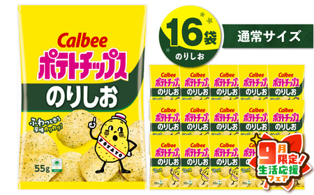 カルビー ポテトチップス【のりしお】16袋 K194-002_07 ポテトチップス ポテチ チップス 菓子 お菓子 スナック スナック菓子 おやつ おかし じゃがいも のりしお 海苔 塩 海苔塩 Calbee パリパリ 美味しい おいしい 酒の肴 おつまみ つまみ お子様 子供 セイカ食品 ふるさと納税 鹿児島 おすすめ ランキング プレゼント ギフト