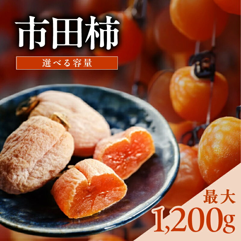 【ふるさと納税】南信州産 市田柿 バラふぞろい 【選べる容量】 | 加工品 ドライフルーツ 果物 フルーツ 柿 市田柿 干し柿 バラ セット 長野県 飯田市 信州
