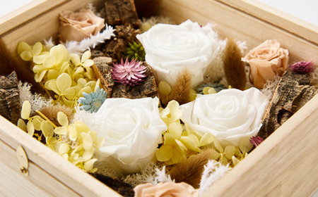 プリザーブドフラワー白【1662935】