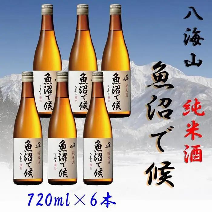 【魚沼地域限定】純米酒 八海山「魚沼で候」720ml×6本 | 八海山