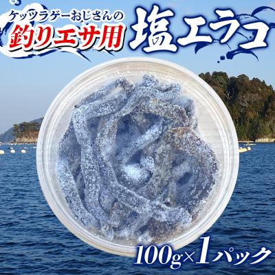 ふるさと納税 山田町 釣り エサ 用 塩 エラコ 100g×1パック