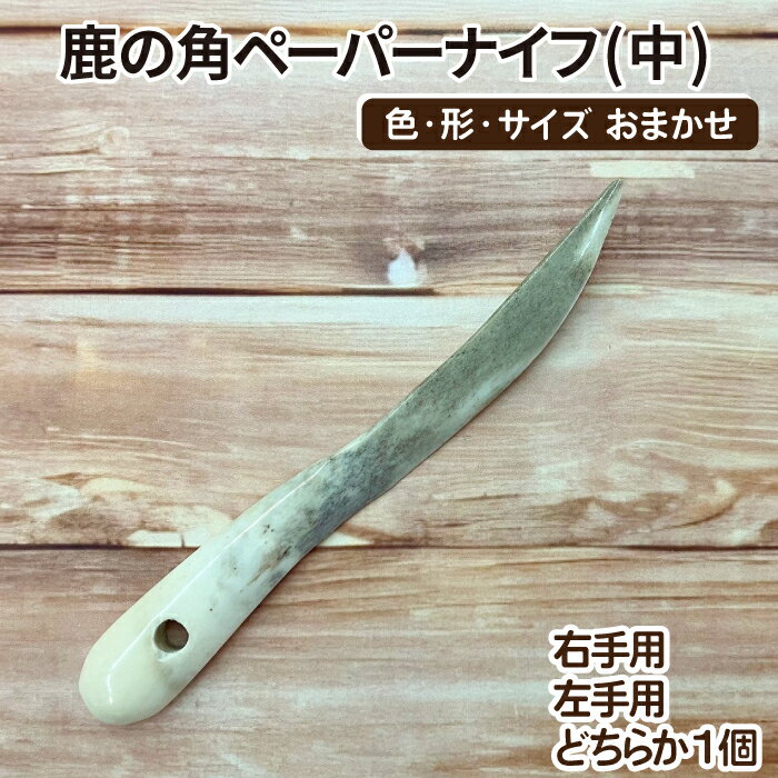 【ふるさと納税】 文房具 おすすめ 鹿の角ペーパーナイフ (中) 1個 / 鹿 角 鹿の角 鹿角 ツノ 本物 つの ペーパーナイフ 日用品 デスク用品 紙 ペーパー ナイフ 二ホンジカ シカ しか 天然 野生 動物 裁断 道具 紙用ナイフ 中サイズ サイズ ワイルド 岩手県 滝沢市 送料無料