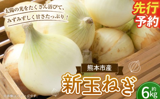 新玉ねぎ