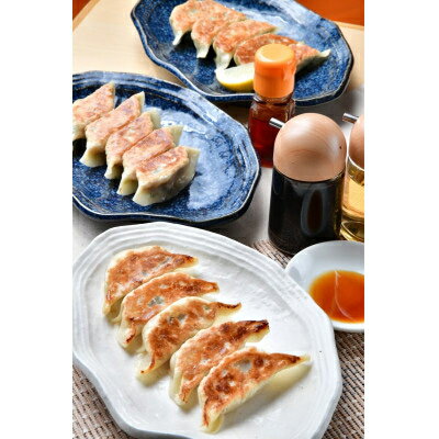 【ふるさと納税】【国産素材】自家製モチモチ皮の手包み餃子(黄金色のカレー・風味抜群のエビ・やさしい横堀餃子)30ヶ【配送不可地域：離島】【1401295】