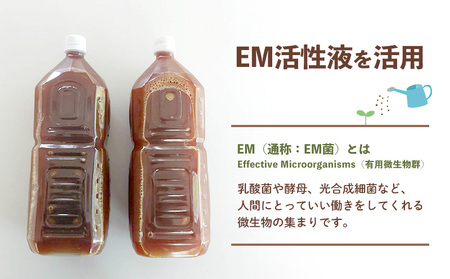 大宜味村産 アーウィン種マンゴー　秀品2キロ（青ぎりシークワーサー800ｇ付き） フルーツ 果物 くだもの 果実 沖縄 大宜味村 食べ物 国産 秀品 九州産 産地直送 ギフト プレゼント トロピカル 