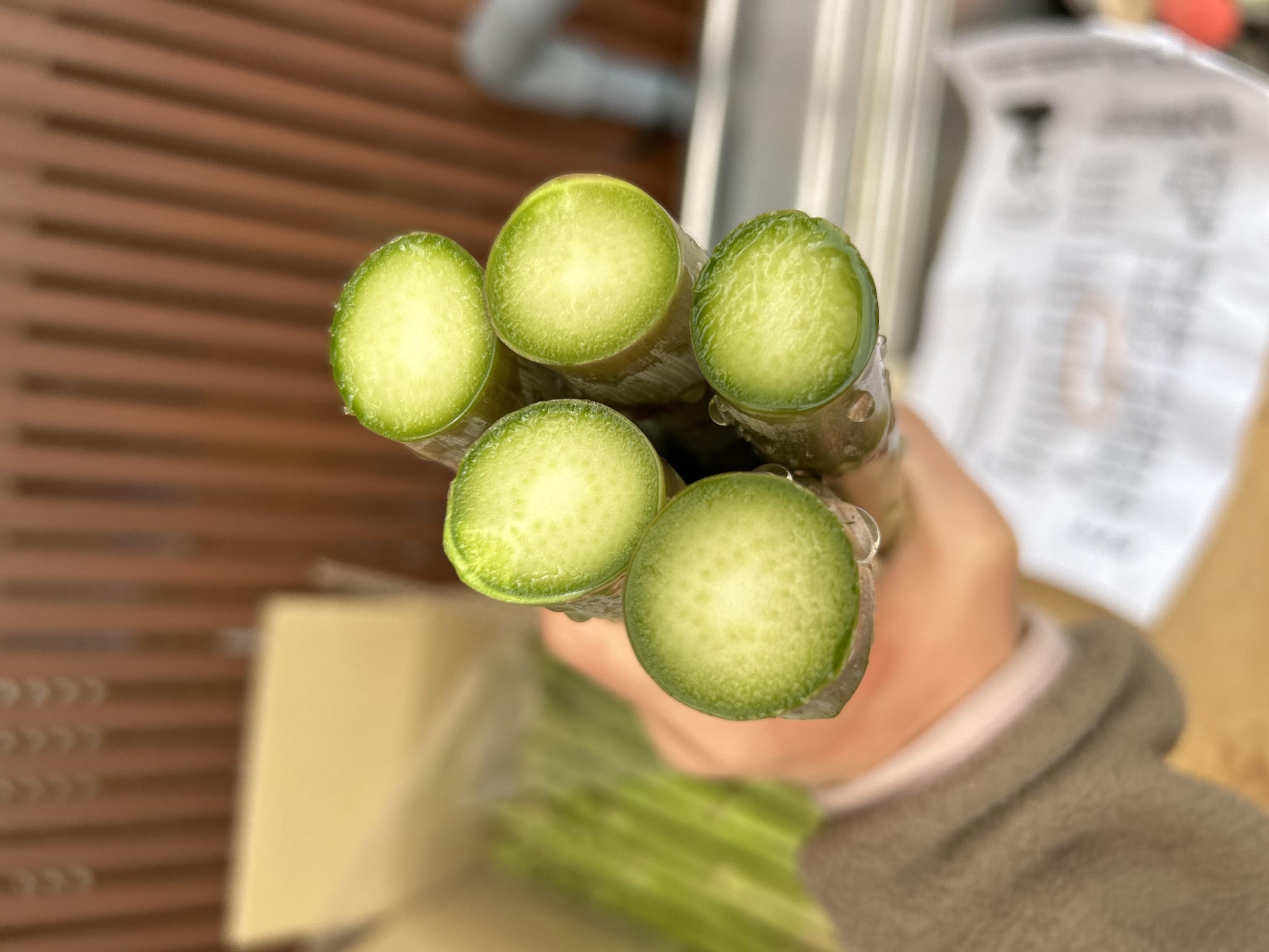 【先行受付　令和７年２月下旬より順次発送】野菜ソムリエサミット『金賞』受賞、自噴水と寒暖差が育んだアスパラ定期便1ｋｇ×4回 B623_イメージ4