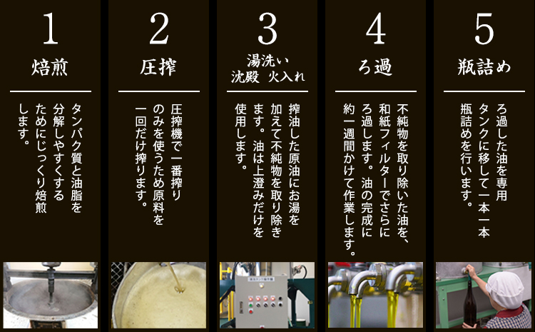 純ごま油 坂本製油 273g 2本《30日以内に出荷予定(土日祝除く)》 熊本県 御船町 純ごま油 あぶら 油---sm_skmtgm_30d_24_10500_2p---
