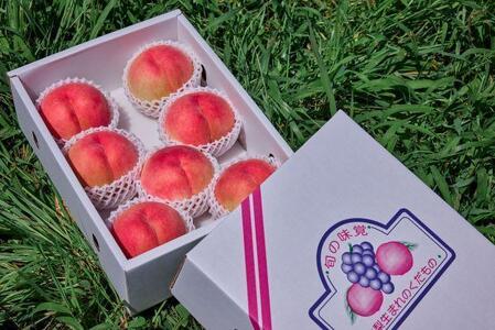 【2026年8月中旬発送】オリジナルブランド 富士桃 約2キロ 河口湖で初の桃栽培！ 先行予約