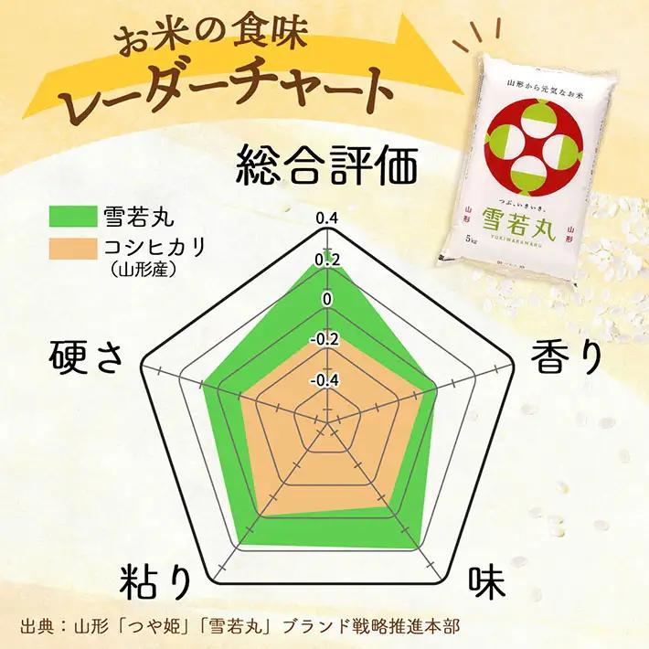 特A 山形県産 雪若丸 20kg 5kg×4袋 令和7年産 2025年産 ブランド米 米 国産 単一原料米 山形 庄内平野