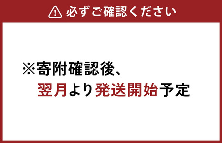 （2回定期便）綾鷹 濃い緑茶 650ml PET【コカ・コーラ】ペットボトル 1ケース(24本) 定期便 2回(48本) セット お茶 緑茶 抹茶 日本茶 茶葉 カテキン 内臓脂肪 皮下脂肪 健康 機