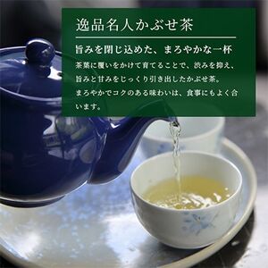 逸品名人セット_飲料・ドリンク 茶葉・ティーバッグ 茶 _【1009555】