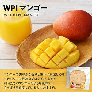 【WPIマンゴー風味】 EZOBOLIC プロテイン 1kg WPIプロテイン LG