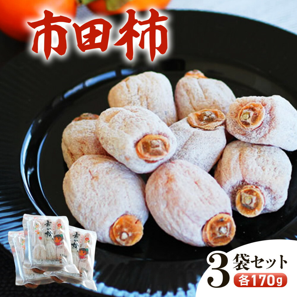 【ふるさと納税】＜先行予約＞南信州に伝わる伝統の味「市田柿」170g×3袋セット＜2026年1月上旬～2月下旬発送＞