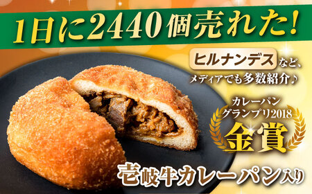 【全3回定期便】壱岐牛カレーパン 詰め合わせ パック  セット ハード カレー パン 16個   ステーキ 朝食 高級 《壱岐市》【パンプラス】[JEU008] 45000 45000円  コダワリカ