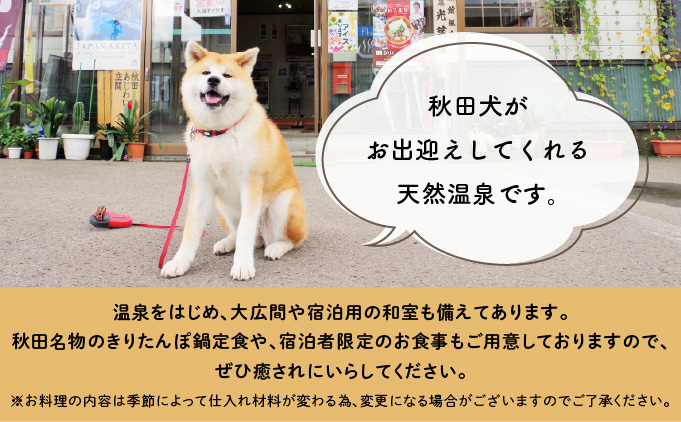 ふるさわおんせん回数券27回　185P8402