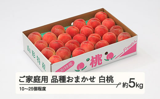 もも 桃 品種おまかせ 白桃 ご家庭用 約5kg(10~25個程度)  2024年産 山形県産 ※沖縄・離島への配送不可 tf-moywm5