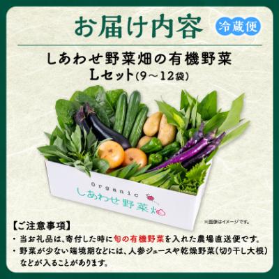 ふるさと納税 掛川市 しあわせ野菜畑の有機野菜　Lセット　(安心の有機JAS認証　旬のオーガニック野菜　農場直送便) |  | 03