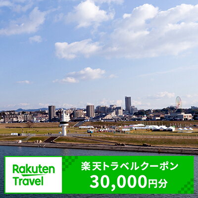 【ふるさと納税】大阪府枚方市の対象施設で使える楽天トラベルクーポン寄付額100,000円（クーポン額30,000円）
