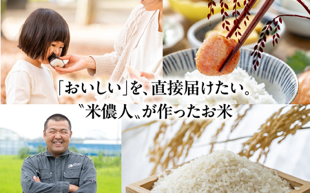 令和7年産【定期便】白銀の穂 5kg×3回 お米