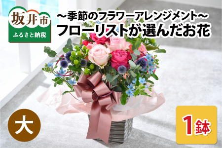 フローリストが選んだ季節のお花をお届けします【お花 ギフト 生花 プレゼント 花束 花 誕生日 記念日 お祝い 父の日 敬老の日 敬老の日遅れてごめんね】 [A-12052]