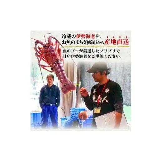【 伊勢海老 】 伊勢海老1kg