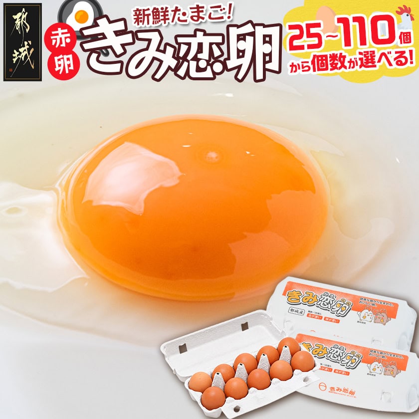 新鮮赤卵「きみ恋卵」6.5kgセット