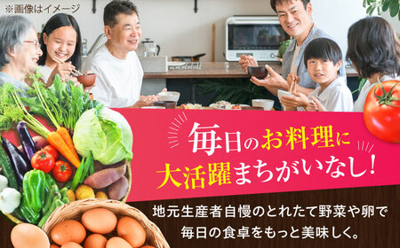 【全6回定期便】【数量限定】【新鮮たまごと旬の野菜セット(野菜7から8品程度＋40個) / たまご 生卵 タマゴ 詰合せ セット 熊本県 特産品【有限会社さんふれあ】[BHAK010]