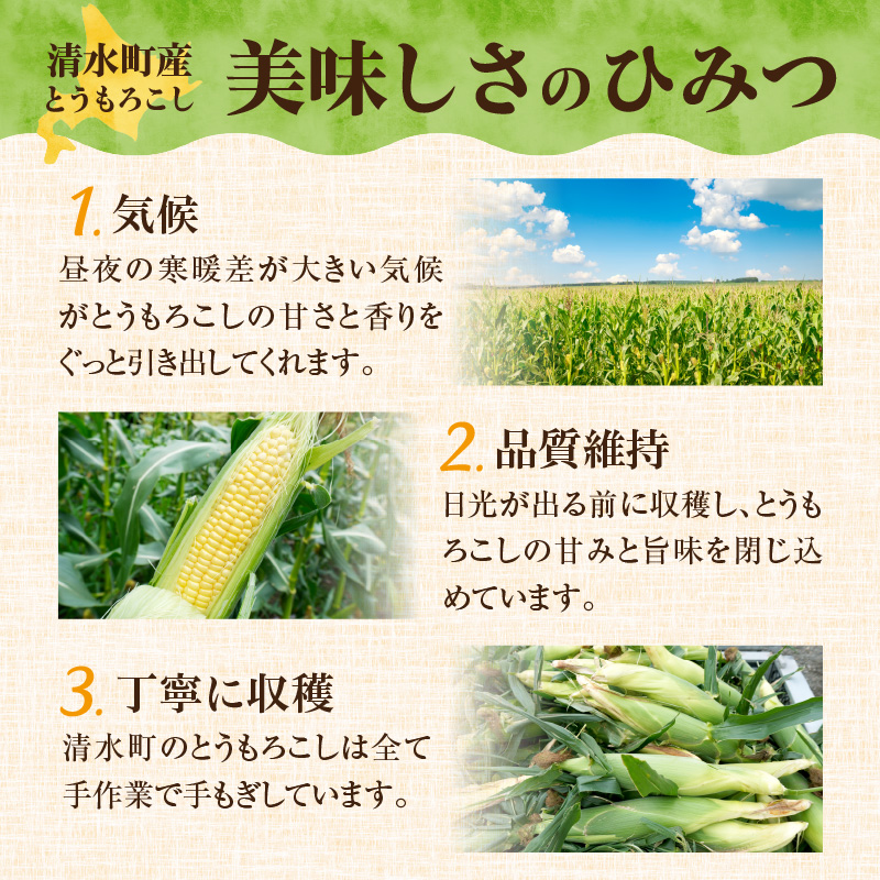 【2026年8月～発送開始！】北海道十勝清水町産 黄金の甘さ ゴールドラッシュ！サイズ混合 10～12本 【北海道産 2026年 とうもろこし とうきび 産直 産地直送 サイズ混合 野菜 家庭用 清水