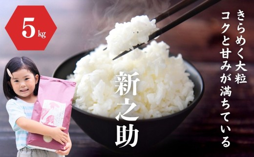 令和7年産『新之助』5kg 米・食味鑑定士お墨付き 家族みんなで愛情かけて育てた米 新潟県糸魚川産 2025年 しんのすけ 白米 百姓や伝六【米 お米 こめ ご飯 ライス ふるさと納税米 食品 人気 おすすめ ギフト 新潟県の新しいブランド米 農家直送 5キロ 精米】