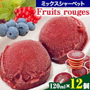 【ふるさと納税】Fruits rouges (フリュイ ルージュ) オーガニックブルーベリー と 赤い果実 の ミックス シャーベット120ml × 12個 CAP’TAIN 《90日以内に出荷予定(土日祝除く)》ふるさと納税 徳島県 美馬市 ブルーベリー カシス シャーベット デザート おやつ 送料無料