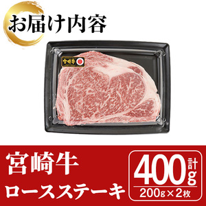 宮崎牛ロースステーキ(400g・200g×2枚)【SJ002】【日本ハムマーケティング株式会社】