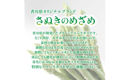 【訳あり】 予約 アスパラガス さぬきのめざめ 1kg アスパラ グリーンアスパラ 野菜 やさい 旬 旬の野菜 季節の野菜 産地直送 冷蔵 冷蔵配送 疲労回復 免疫力向上 食物繊維 ビタミンC 柔らか