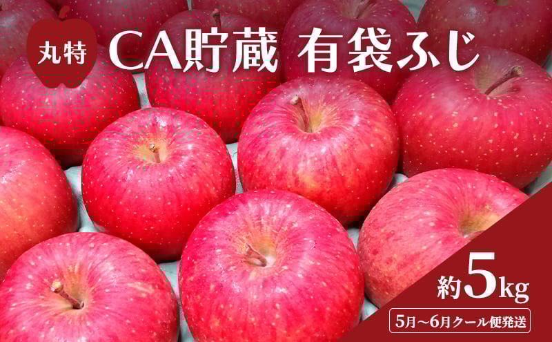 
            [№5554-0295]5月～6月 クール便発送 丸特 CA貯蔵 有袋ふじ 約 5kg アイスBOXクール便 りんご リンゴ 林檎 果物 フルーツ 青森
          