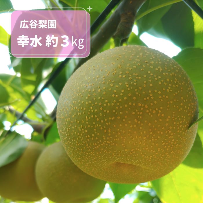 【ふるさと納税】広谷梨園　幸水　約3kg ／ 梨 なし 果物 千葉県 特産品