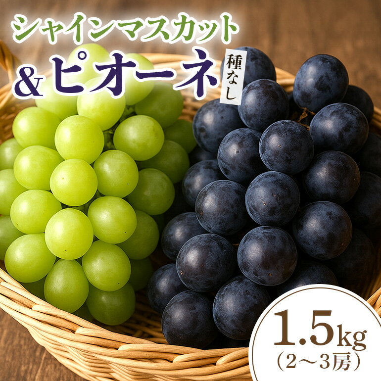 【ふるさと納税】 【2026年先行予約】シャインマスカットとピオーネ（種なし）1.5kg（2〜3房） 葡萄 ブドウ フルーツ 果物 くだもの 産地直送 茨城県 石岡市 A02-025